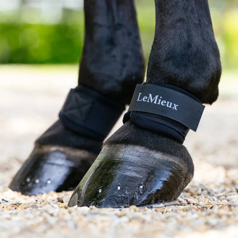 LeMieux Neoprene Pastern Wrap - Black-2