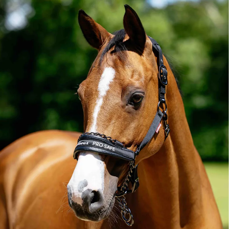 LeMieux Pro-Safe Safety Headcollar - Black