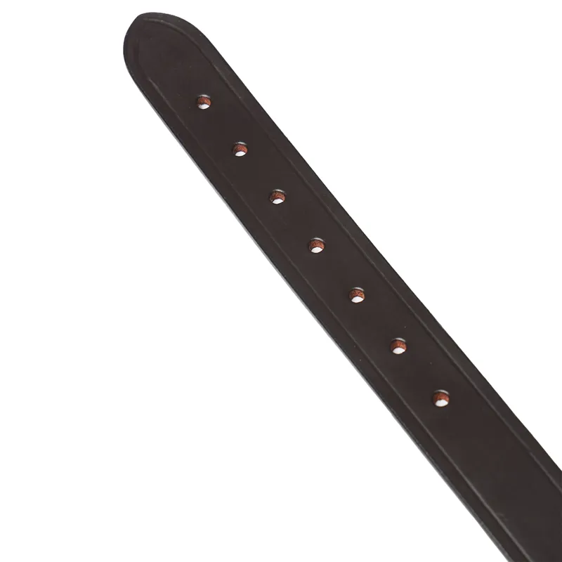 LeMieux Replacement Breakaway Headcollar Headpiece - Brown-1