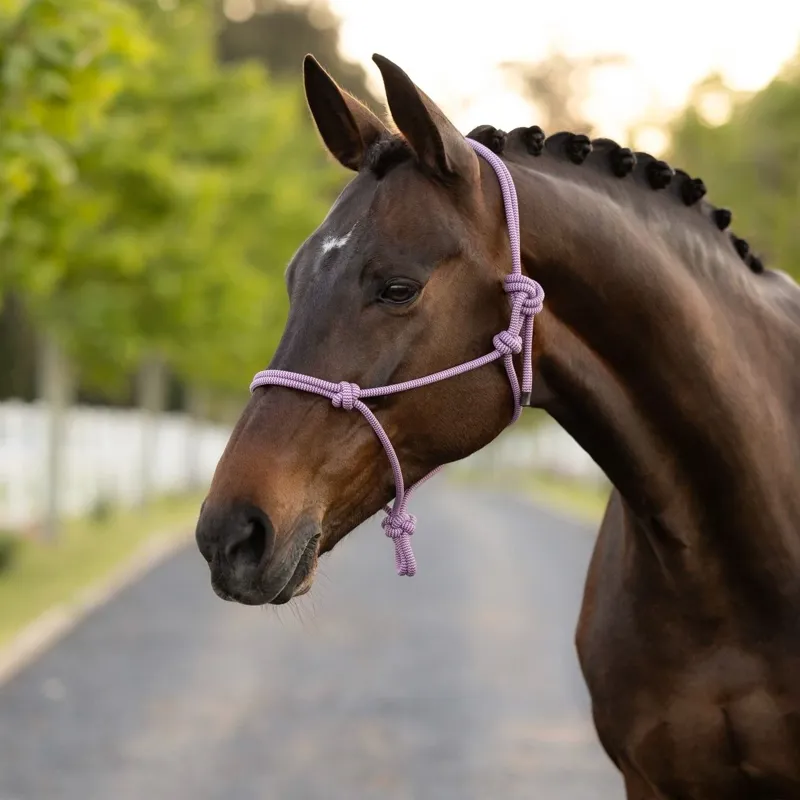 LeMieux Rope Halter - Fondant-1