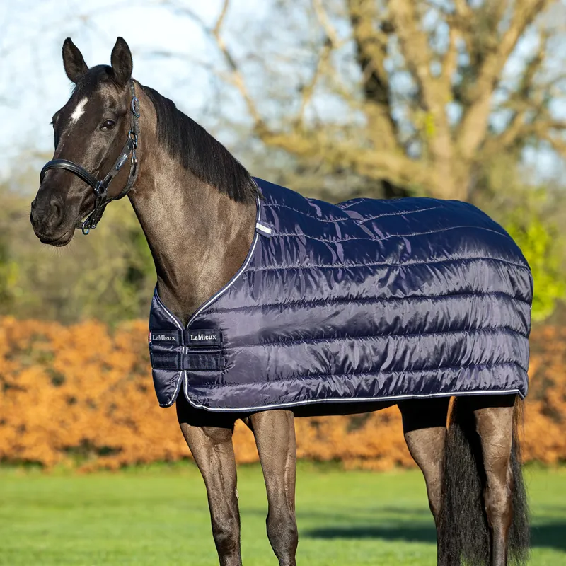 LeMieux 100g Rug Liner - Navy