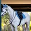 LeMieux Suede Close Contact Saddlecloth - Ice Blue