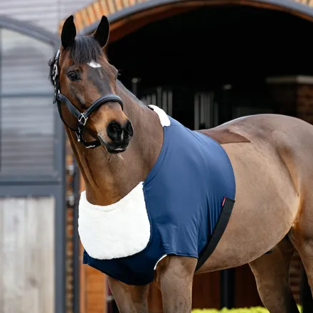 Buy the Le Mieux Anti Rub Bib | Online for Equine Buy the Le Mieux Anti Rub Bib | Online for Equine