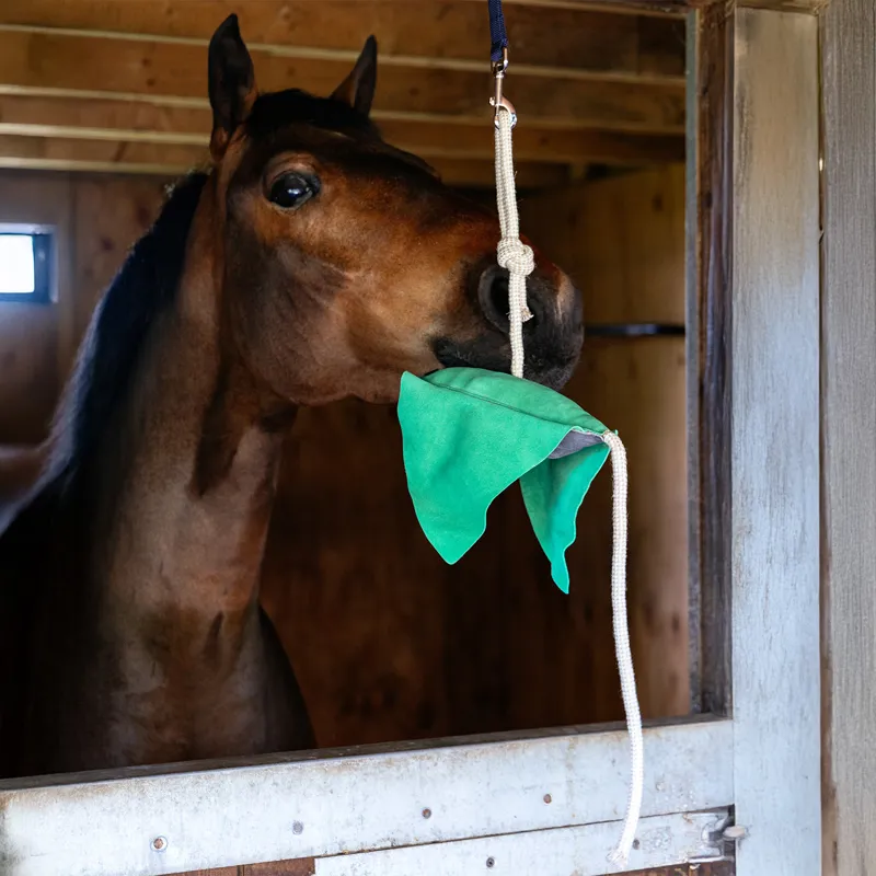 LeMieux Horse Stable Toy - Stingray-2