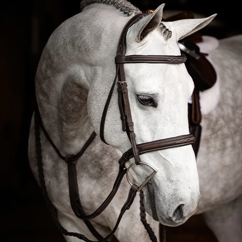 LeMieux Stitched Hunter Bridle with Laced Reins - Havana/Silver-2