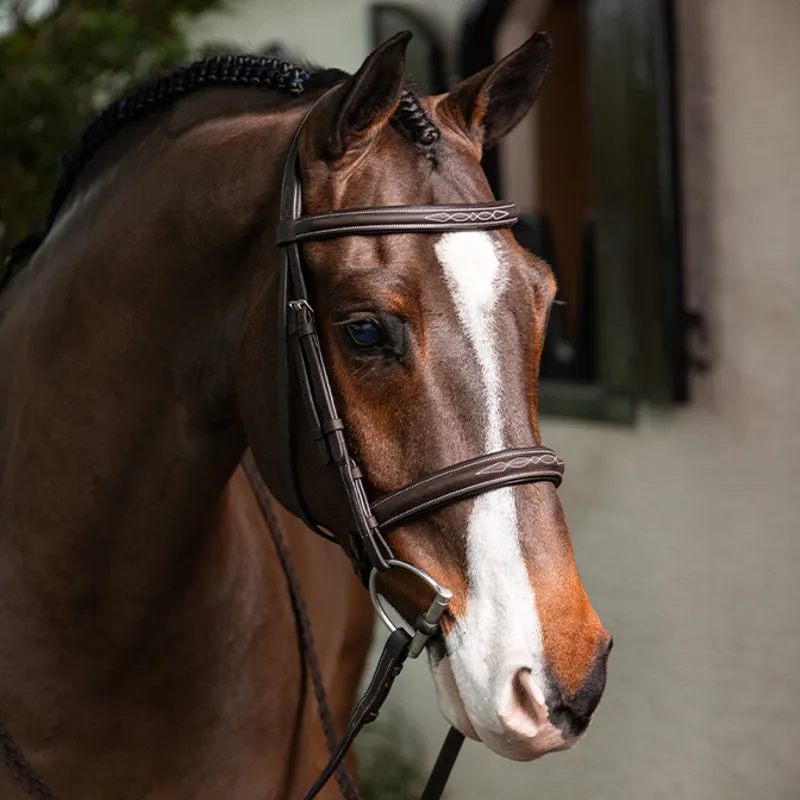 LeMieux Stitched Hunter Bridle with Laced Reins - Havana/Silver-1
