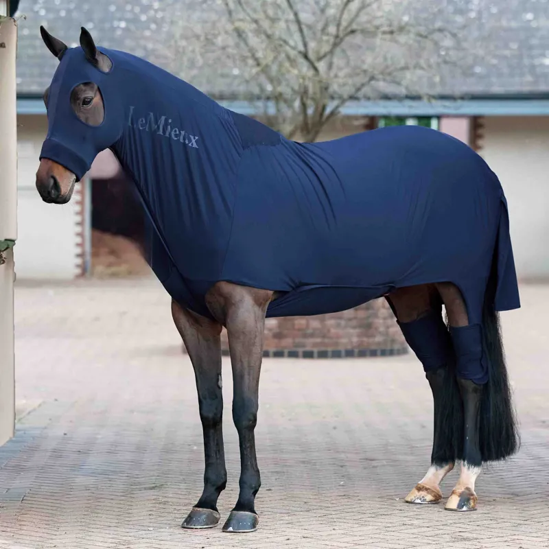 LeMieux Stretch Show Rug - Navy