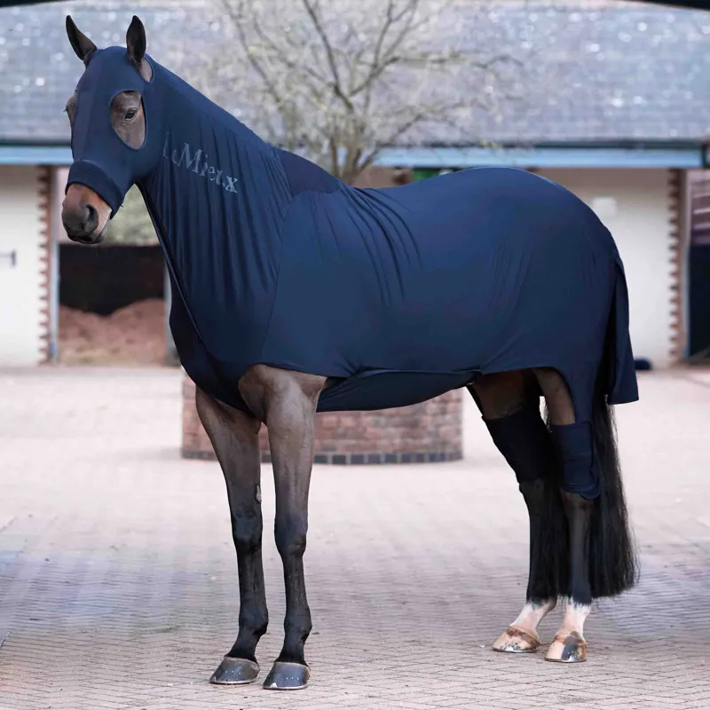 LeMieux Stretch Show Rug - Navy-1