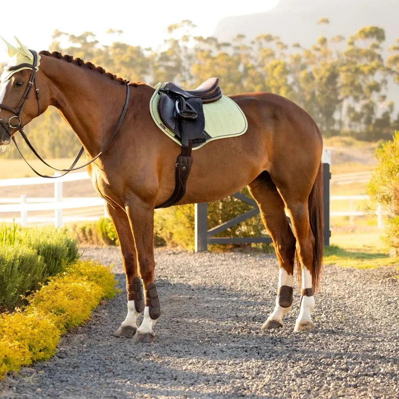 LeMieux Suede Close Contact Saddlecloth - Macaron-3