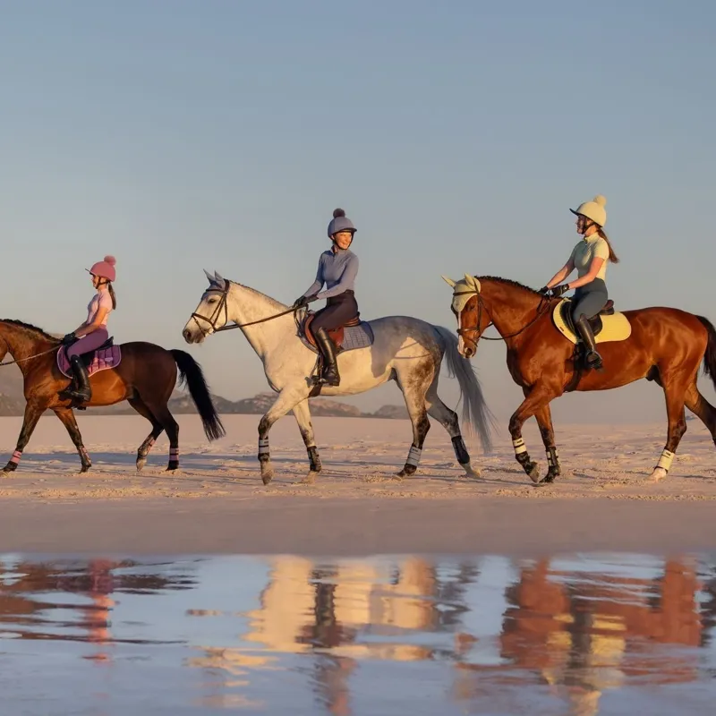 LeMieux Suede Close Contact Saddlecloth - Mallow-4