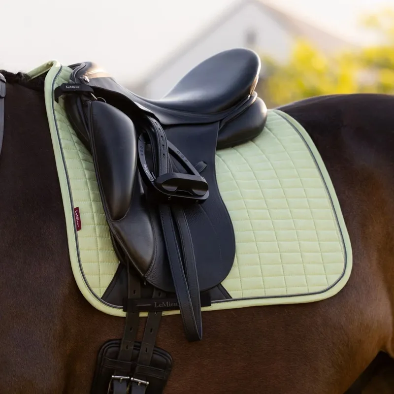 LeMieux Suede Dressage Saddlecloth - Macaron-1