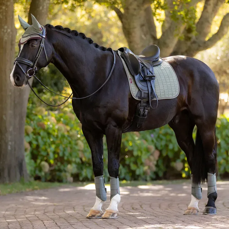 LeMieux Suede Dressage Saddle Pad - Rosemary-2