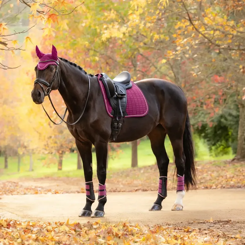 LeMieux Suede Dressage Saddlecloth - Blackberry-2