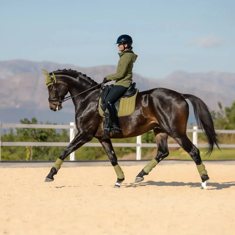 LeMieux Suede Dressage Saddlecloth - Gooseberry-4