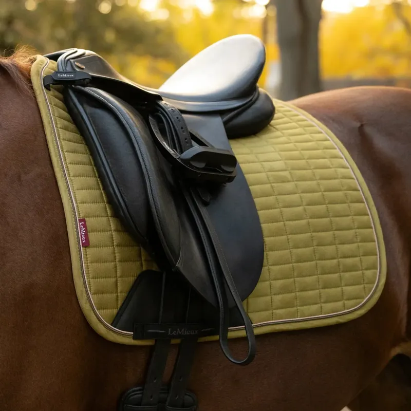 LeMieux Suede Dressage Saddlecloth - Gooseberry-3