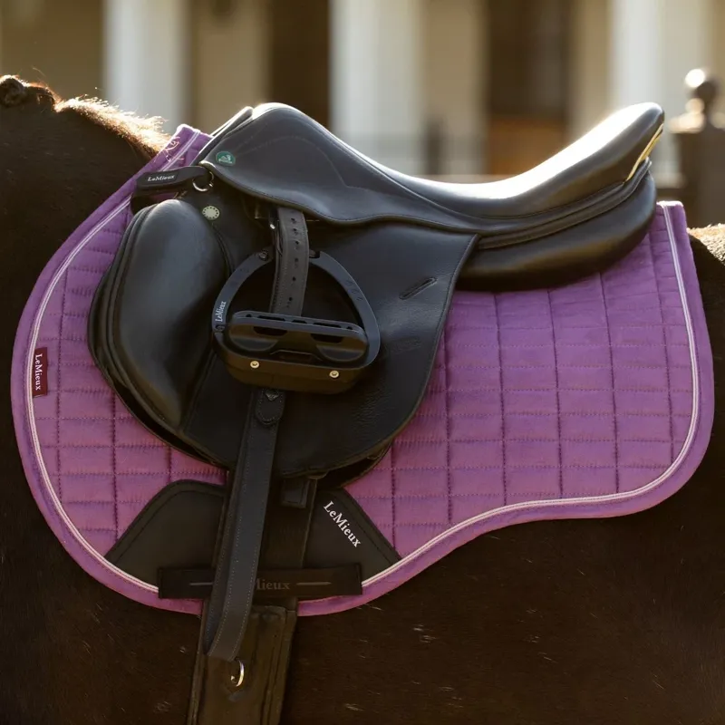 LeMieux Suede GP Saddle Pad - Mallow-1