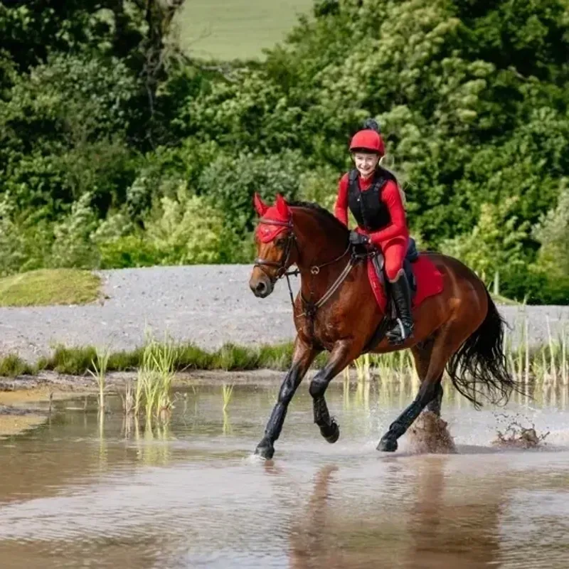 LeMieux Suede GP Saddlecloth - Chilli-2