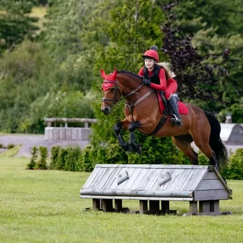 LeMieux Suede GP Square Saddle Pad - Chilli-3