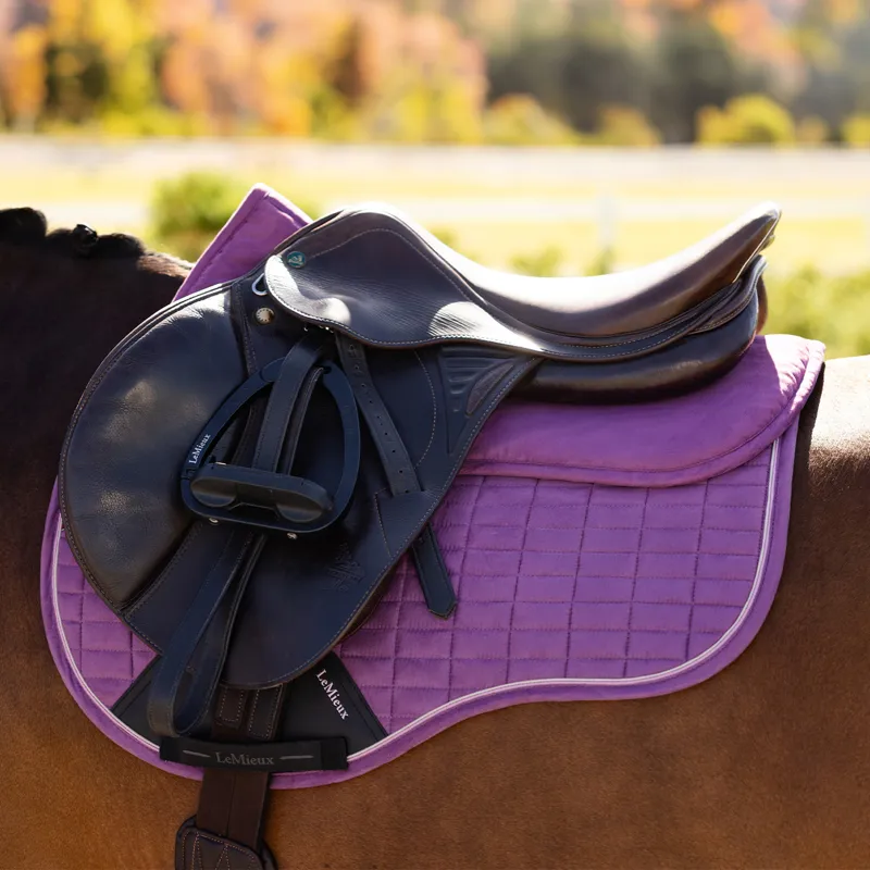 LeMieux Suede Half Pad - Mallow-2