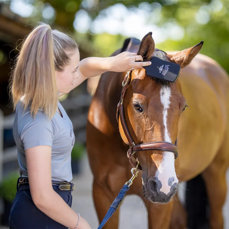 LeMieux Tangle Tidy Mane and Tail Brush - Black-1
