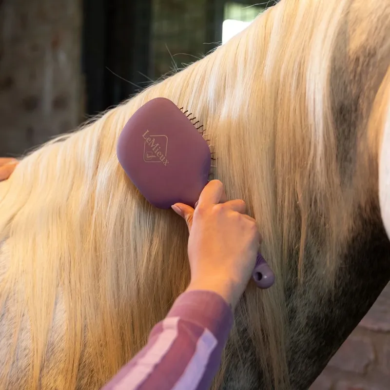 LeMieux Tangle Tidy Mane and Tail Brush - Mallow-2