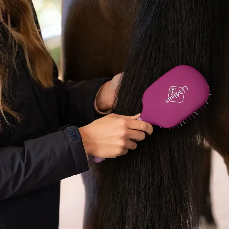 LeMieux Tangle Tidy Plus Mane and Tail Brush - Blackberry-1