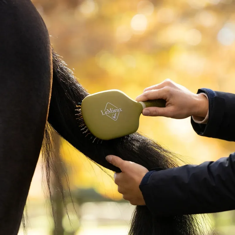 LeMieux Tangle Tidy Plus Mane and Tail Brush - Gooseberry-1