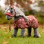 LeMieux Mini Toy Pony Rip Stop Printed Rug - Spiced Earth