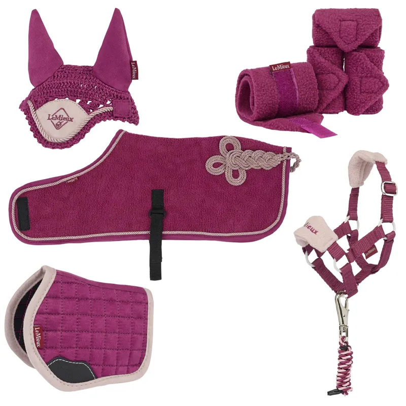 LeMieux Mini Toy Pony Accessories Bundle - Blackberry