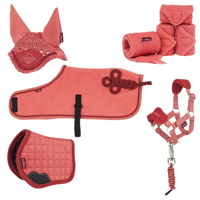LeMieux Mini Toy Pony Accessories Bundle - Spiced Earth