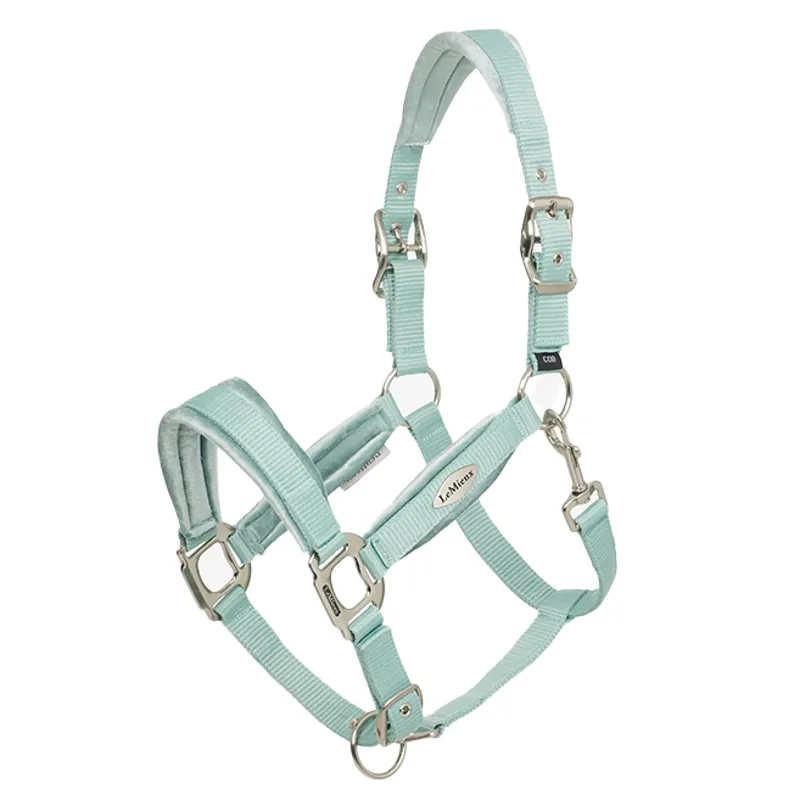 LeMieux Versailles Headcollar - Aqua