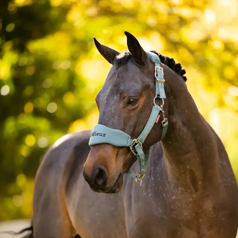 LeMieux Vogue Breakaway Headcollar - Aloe-2