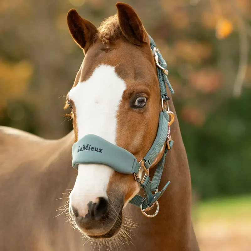 LeMieux Vogue Breakaway Headcollar - Aloe-1