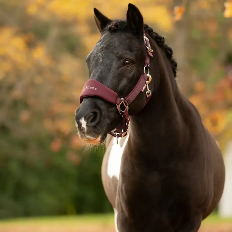 LeMieux Vogue Breakaway Headcollar - Bramble-2