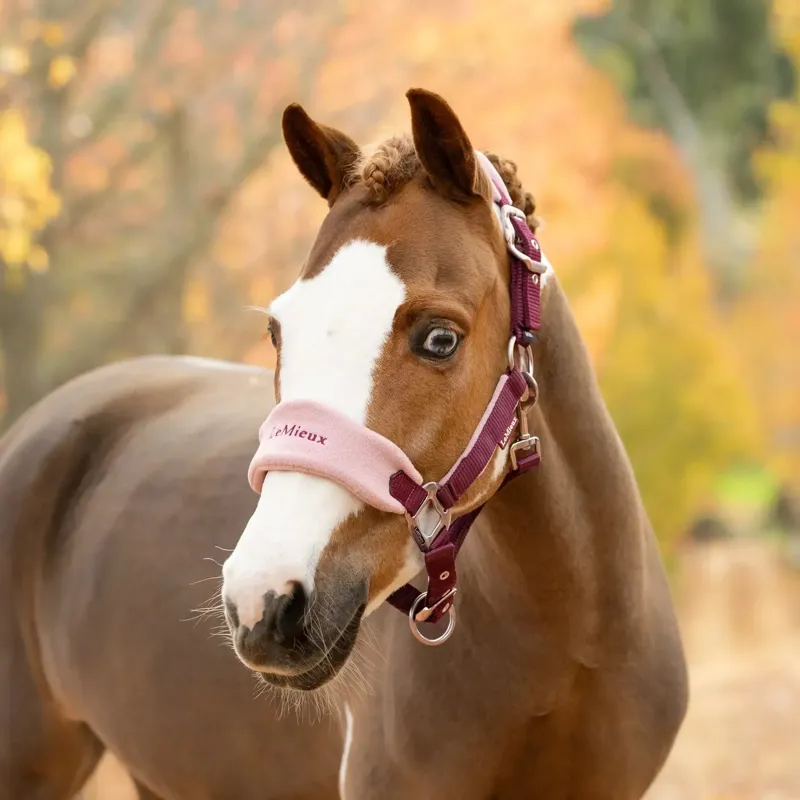 LeMieux Vogue Headcollar and Lead Rope Set - Blackberry-2