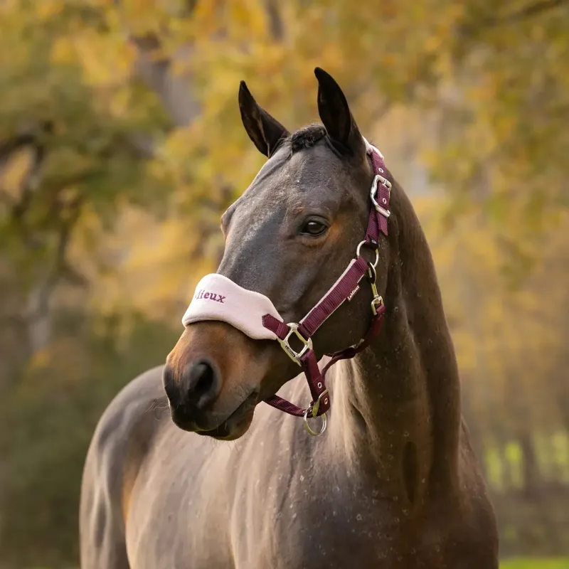 LeMieux Vogue Headcollar and Lead Rope Set - Blackberry-1