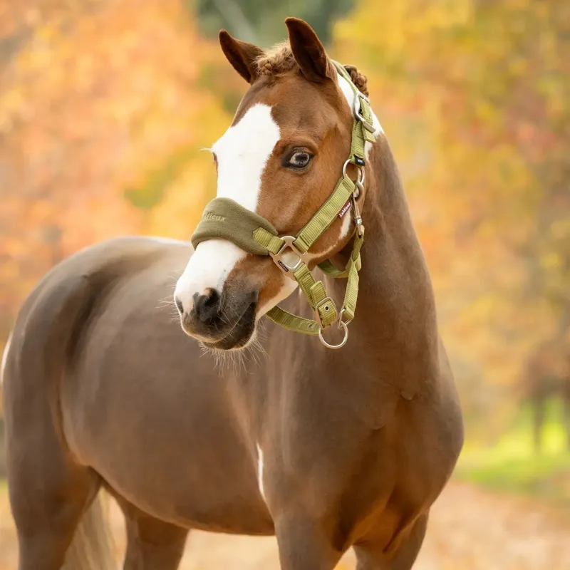 LeMieux Vogue Headcollar and Lead Rope Set - Gooseberry-3