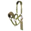 LeMieux Vogue Headcollar and Lead Rope Set - Gooseberry