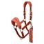 LeMieux Vogue Headcollar and Lead Rope Set - Russet