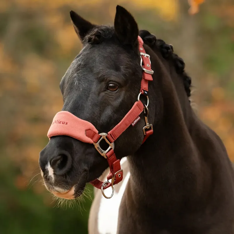 LeMieux Vogue Headcollar and Lead Rope Set - Russet-2