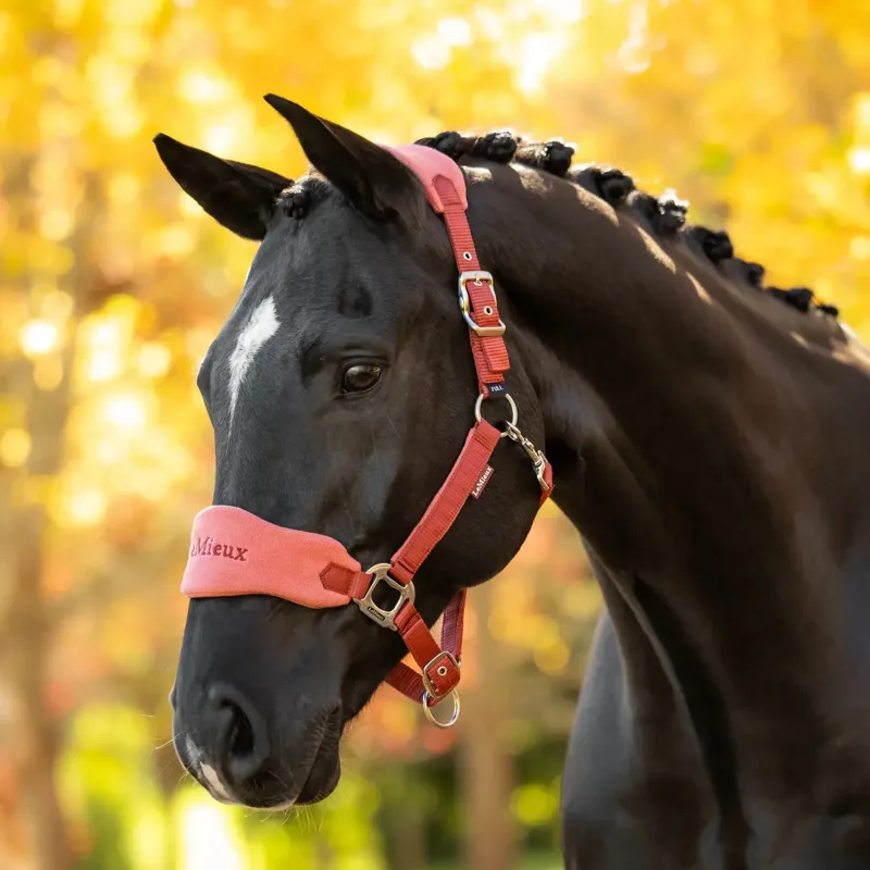 LeMieux Vogue Headcollar and Lead Rope Set - Russet-1