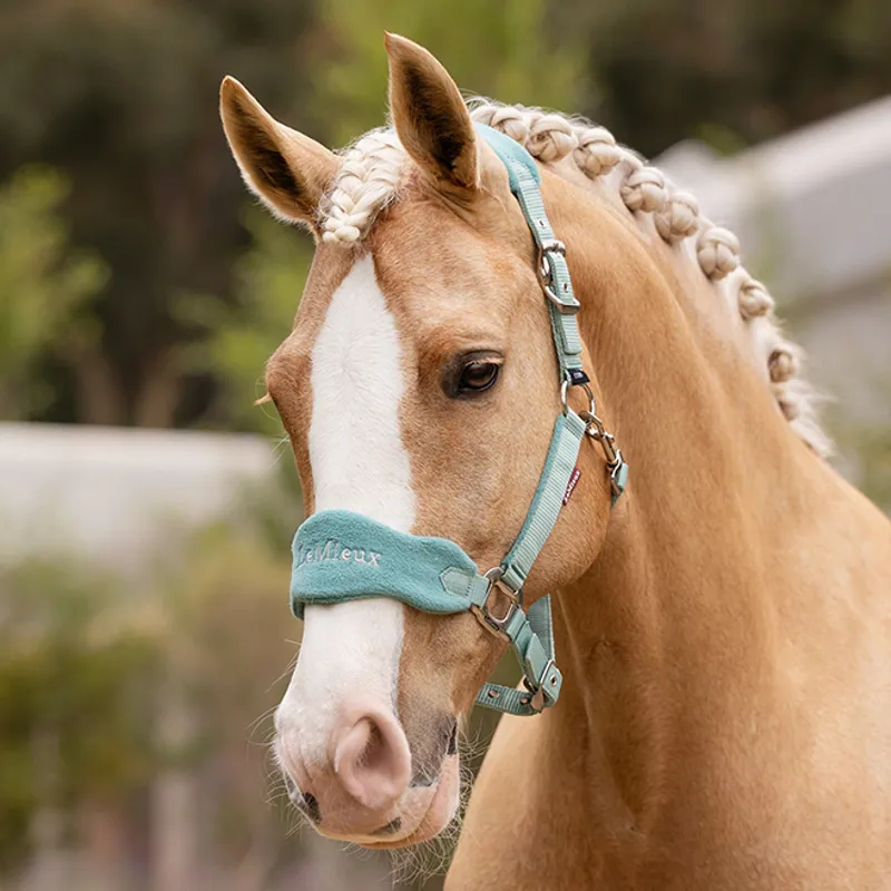 LeMieux Vogue Headcollar and Lead Rope Set - Lagoon-2