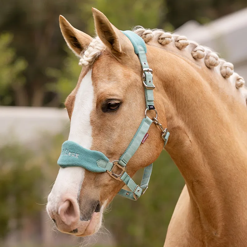 LeMieux Vogue Headcollar and Lead Rope Set - Lagoon-3