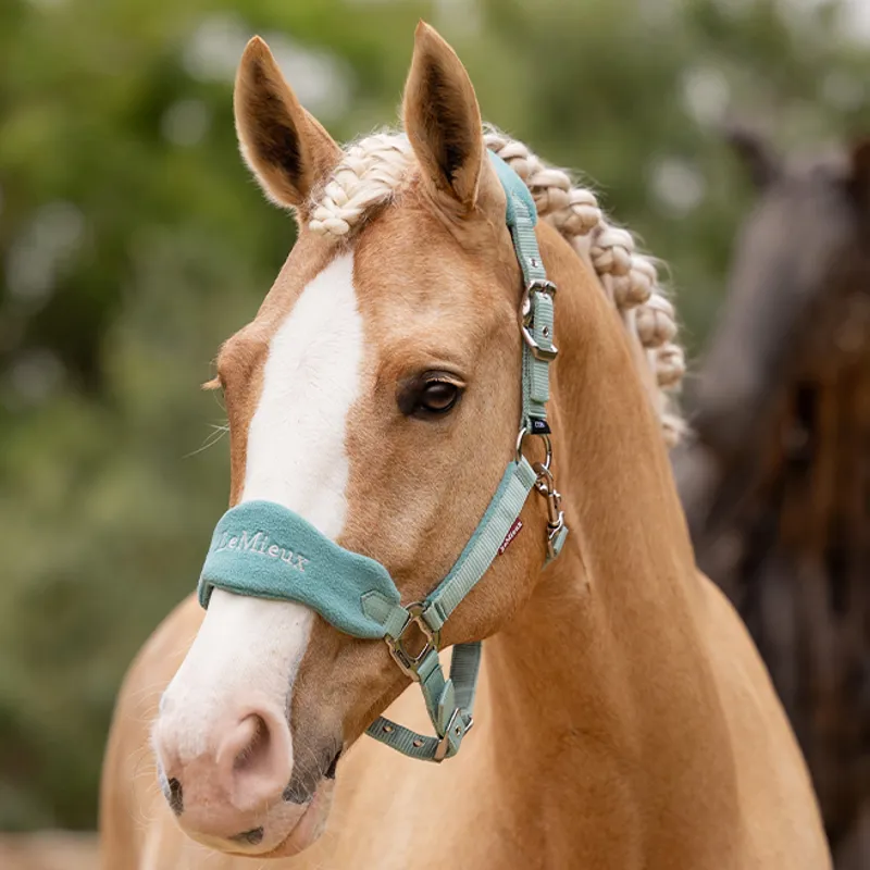 LeMieux Vogue Headcollar and Lead Rope Set - Lagoon-1