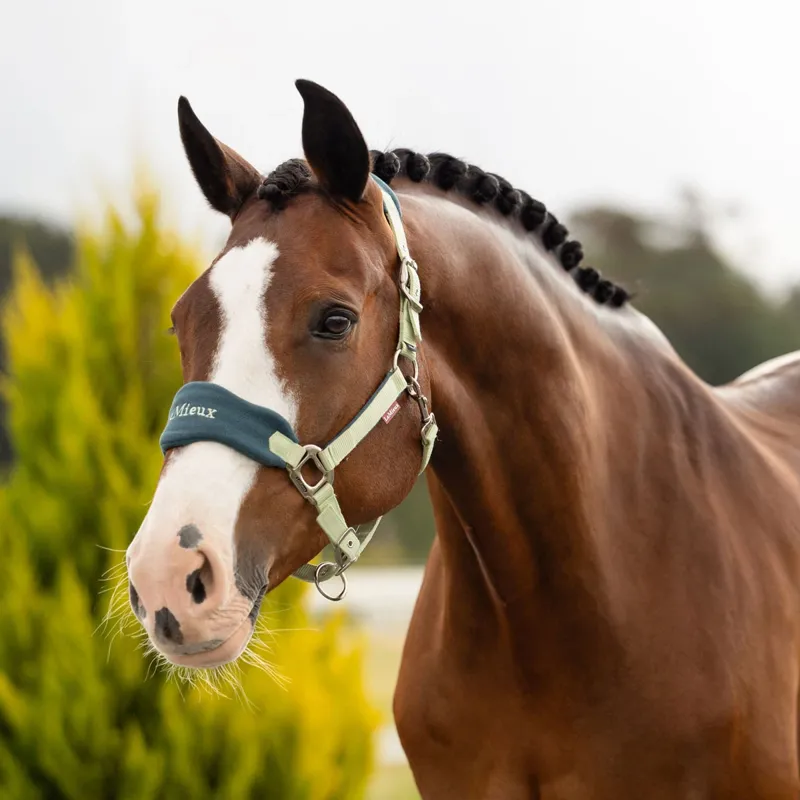 LeMieux Vogue Headcollar and Leadrope Set - Macaron-2