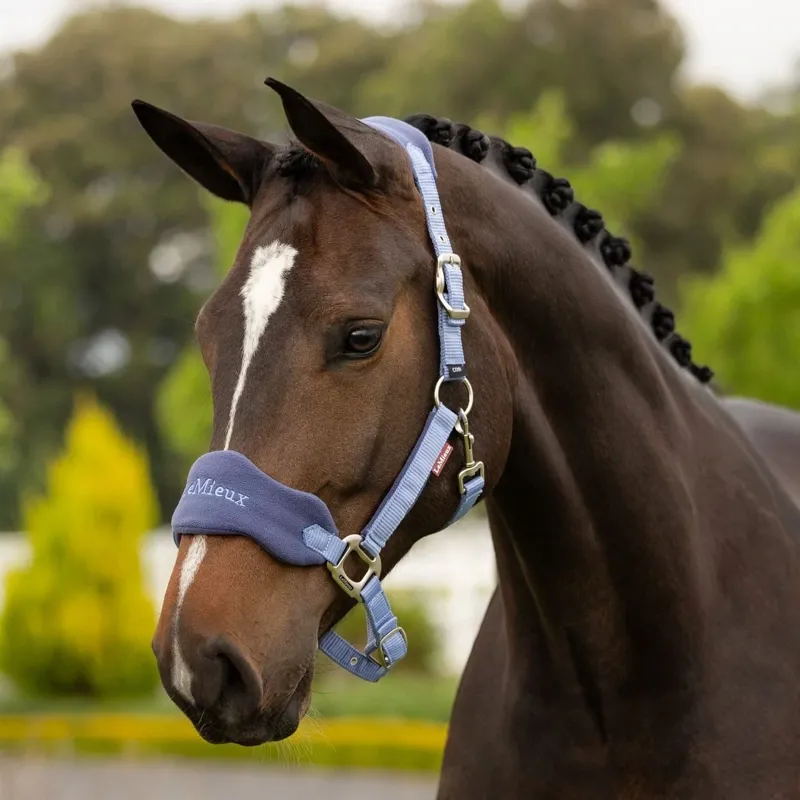 LeMieux Vogue Headcollar and Leadrope Set - Powder Blue-1