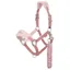LeMieux Vogue Headcollar and Lead Rope Set - Blossom