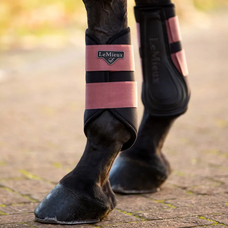 LeMieux Grafter Brushing Boots - Orchid-3