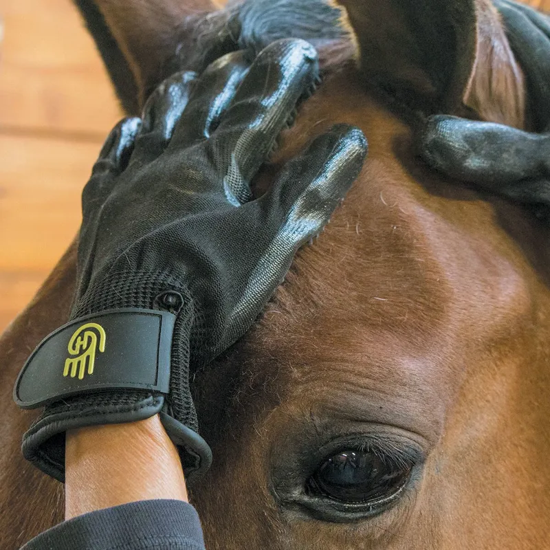 LeMieux Hands On Grooming Gloves - Black-1