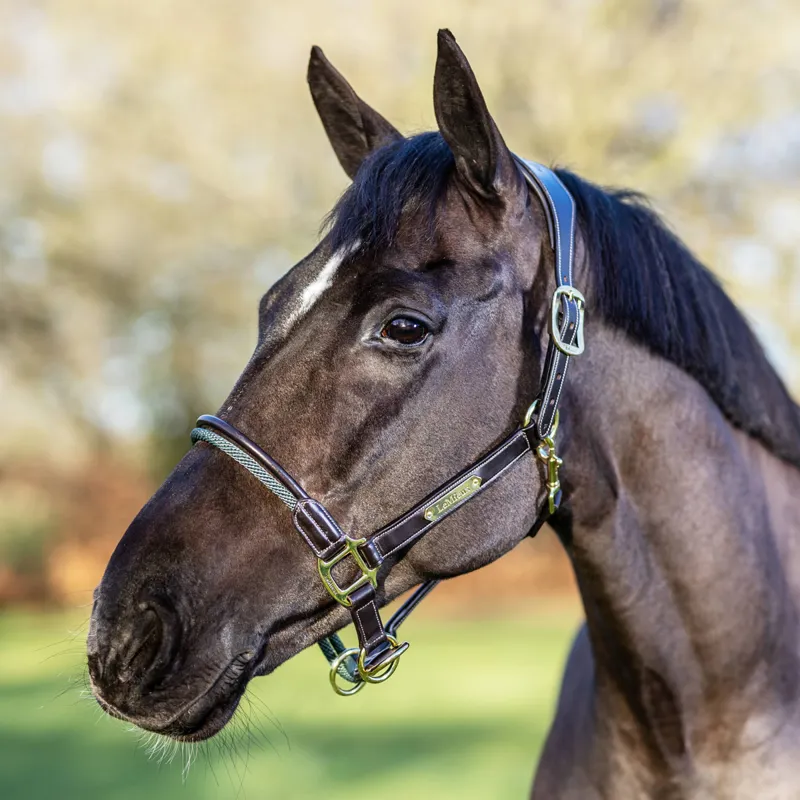 LeMieux Rope Control Headcollar - Brown-1